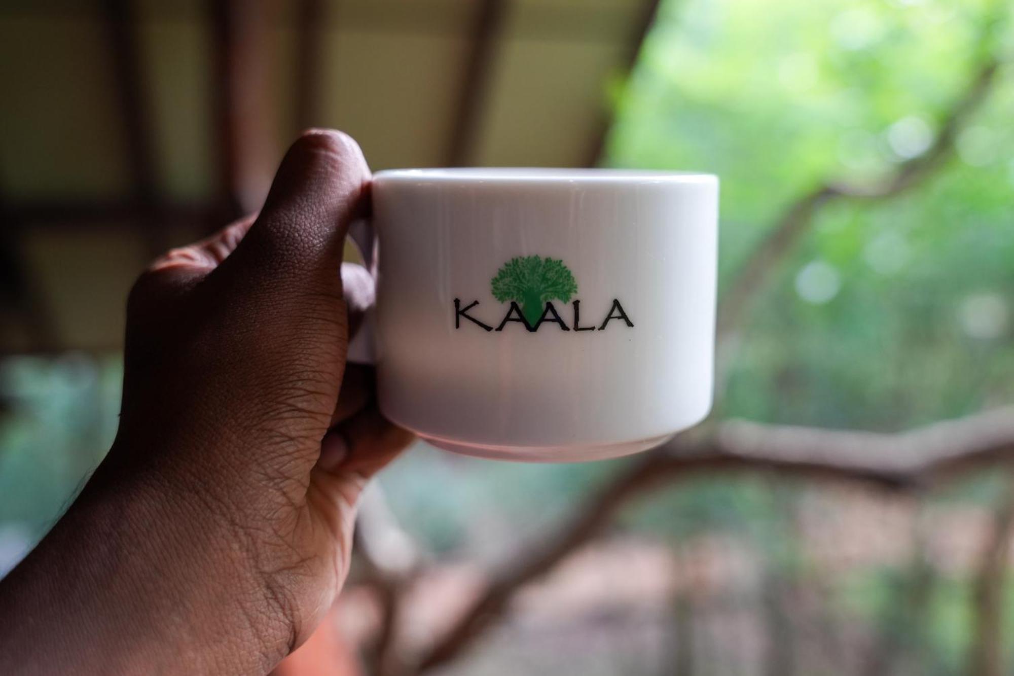 Kaala Kalaththewa Luxury Eco Resort Анурадхапура Екстериор снимка