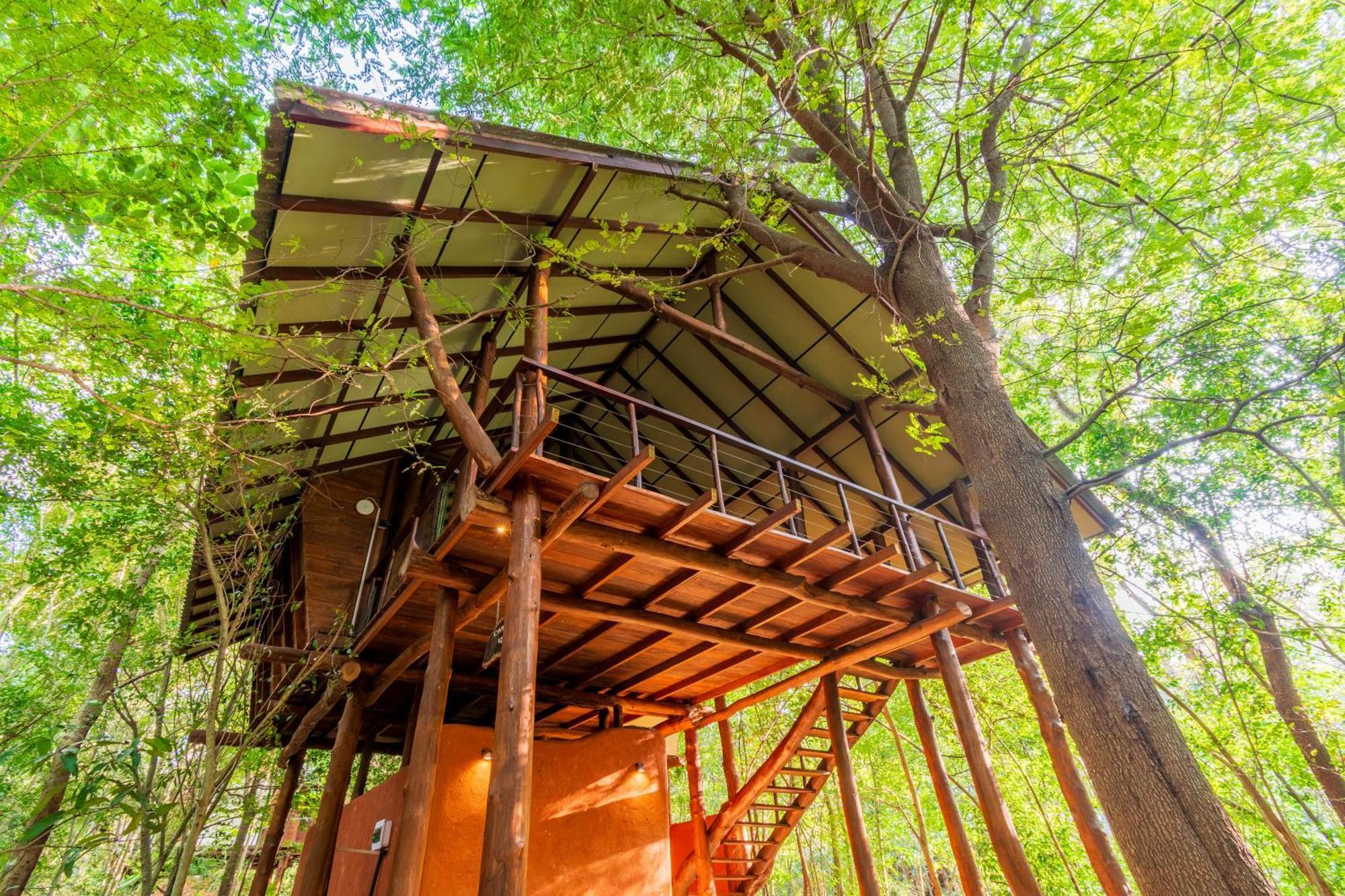 Kaala Kalaththewa Luxury Eco Resort Анурадхапура Екстериор снимка